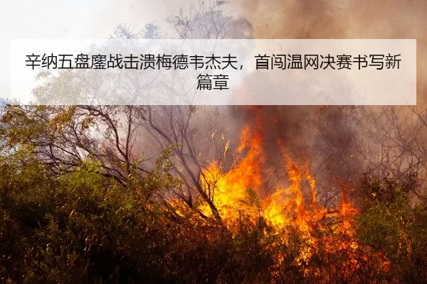 辛纳五盘鏖战击溃梅德韦杰夫，首闯温网决赛书写新篇章