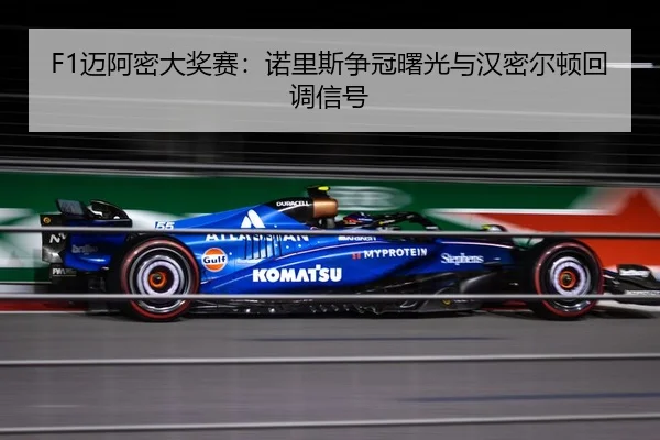 mai-a-mi-da-jiang-sai-nuo-li-si-zheng-guan-shu-guang-yu-han-mi-er-dun-hui-diao-xin-hao-3-617.jpg