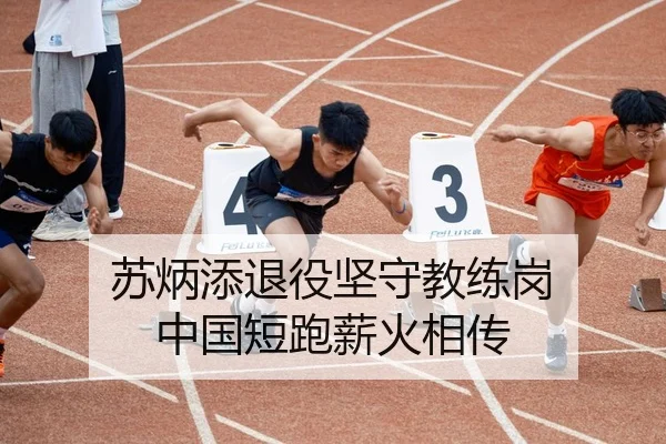 苏炳添退役坚守教练岗 中国短跑薪火相传